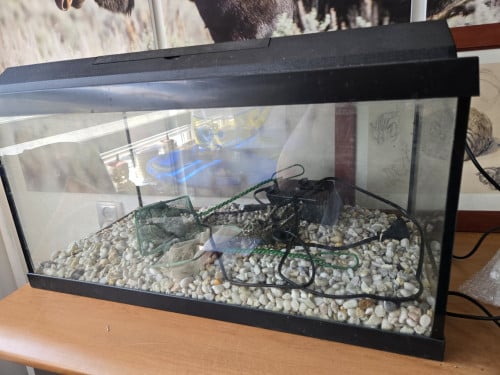 Aquarium Juwel 60 x 30 x30 cm incl, verlichting, pomp en assecoires
