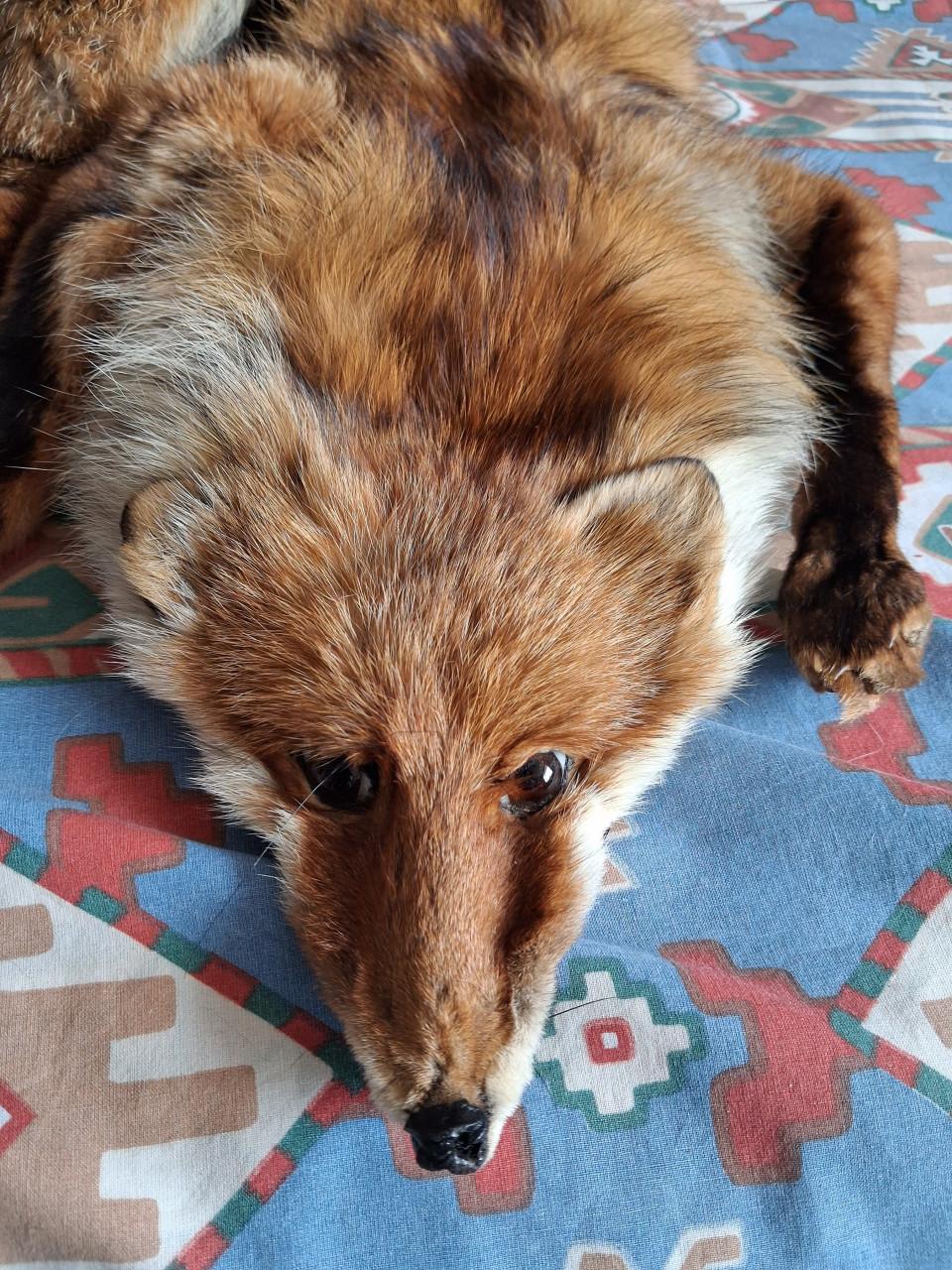 Vos stola en nertsenbont stola