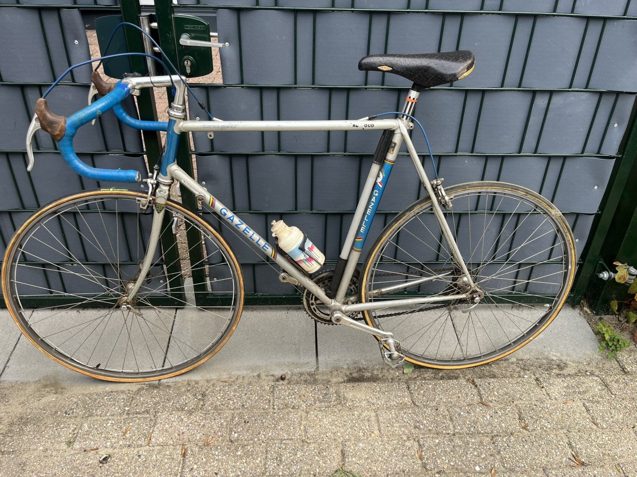 Racefiets Gazelle Champion Mondial