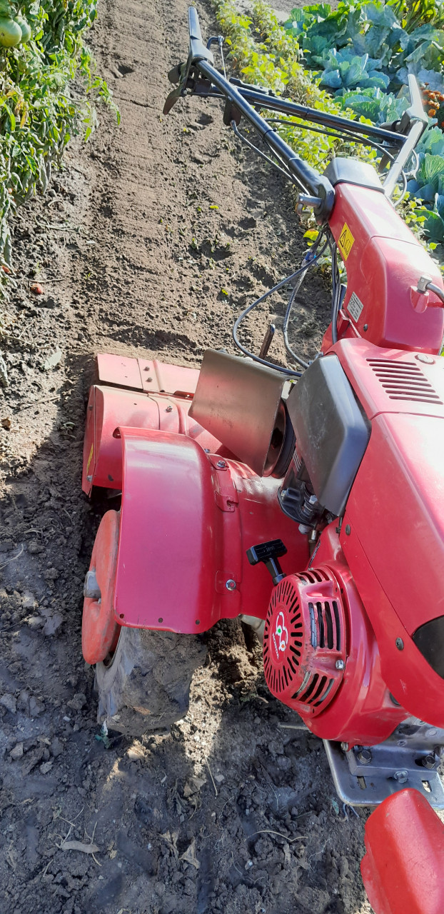 Honda F 810 tuinfrees met ploeg en cultivator/schoffel
