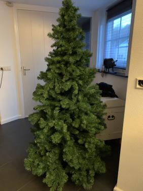 Kerstboom ong 2 meter