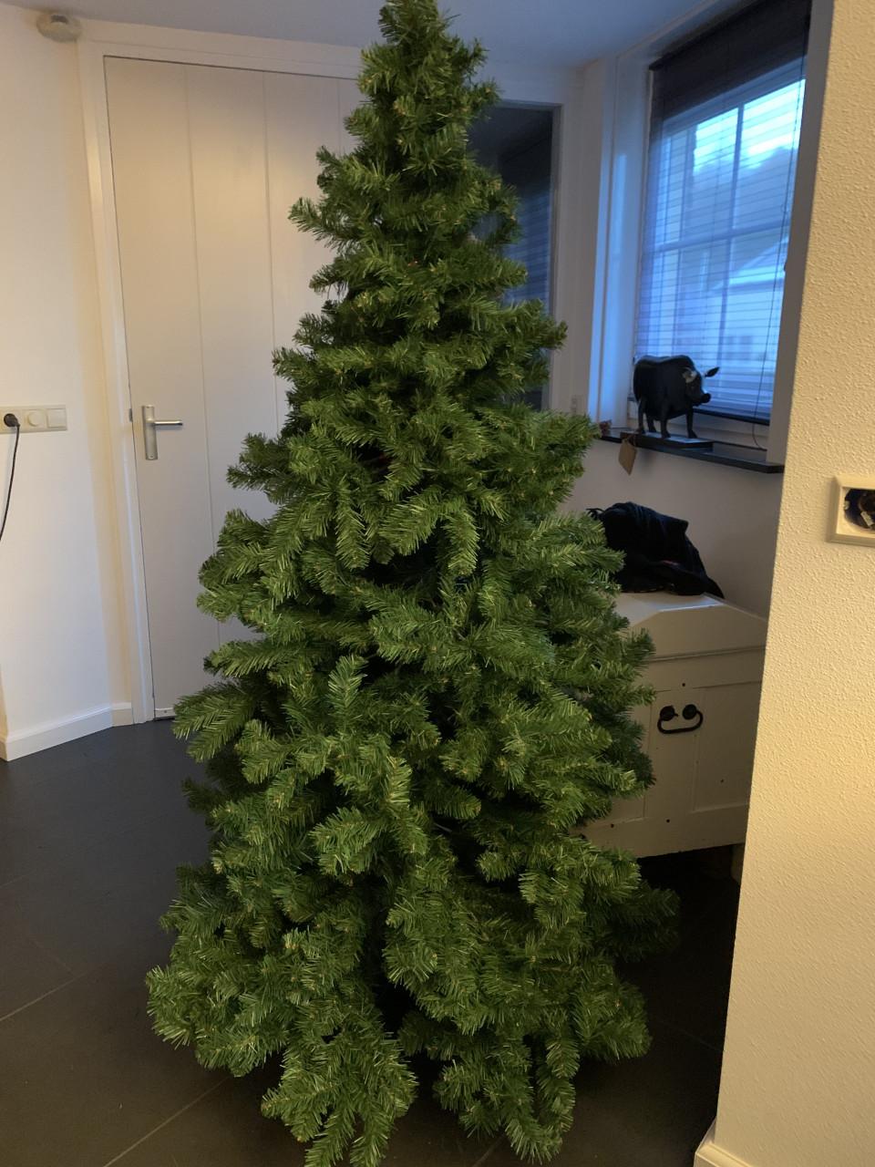 Kerstboom ong 2 meter