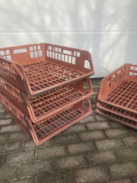 24 Broodkratten bakkerskratten