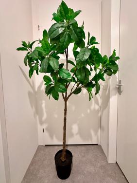 Grote Magnolia kunstplant