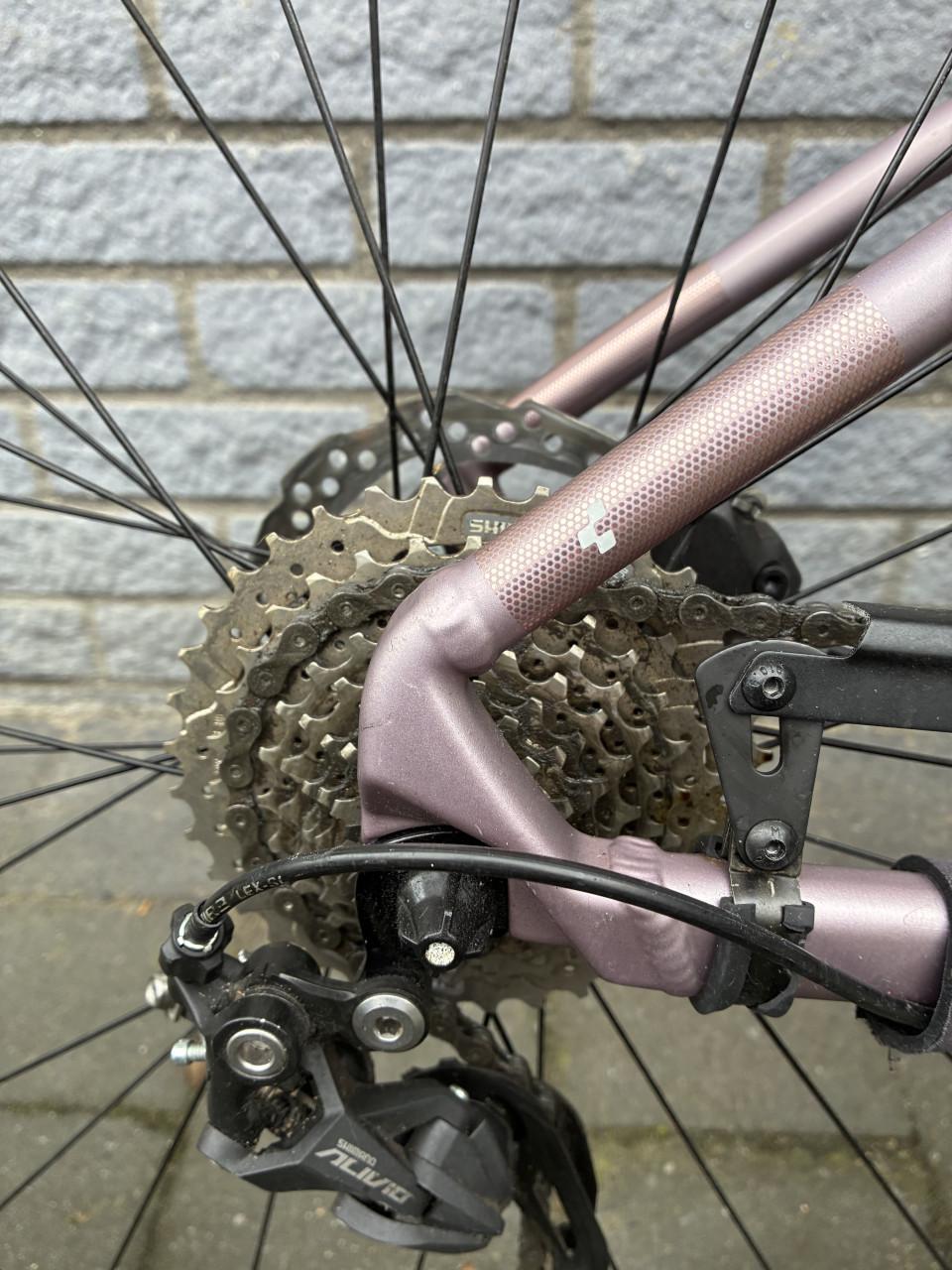 Cube MTB dames - ACCESS WS PRO SIENNA/BLUSH
