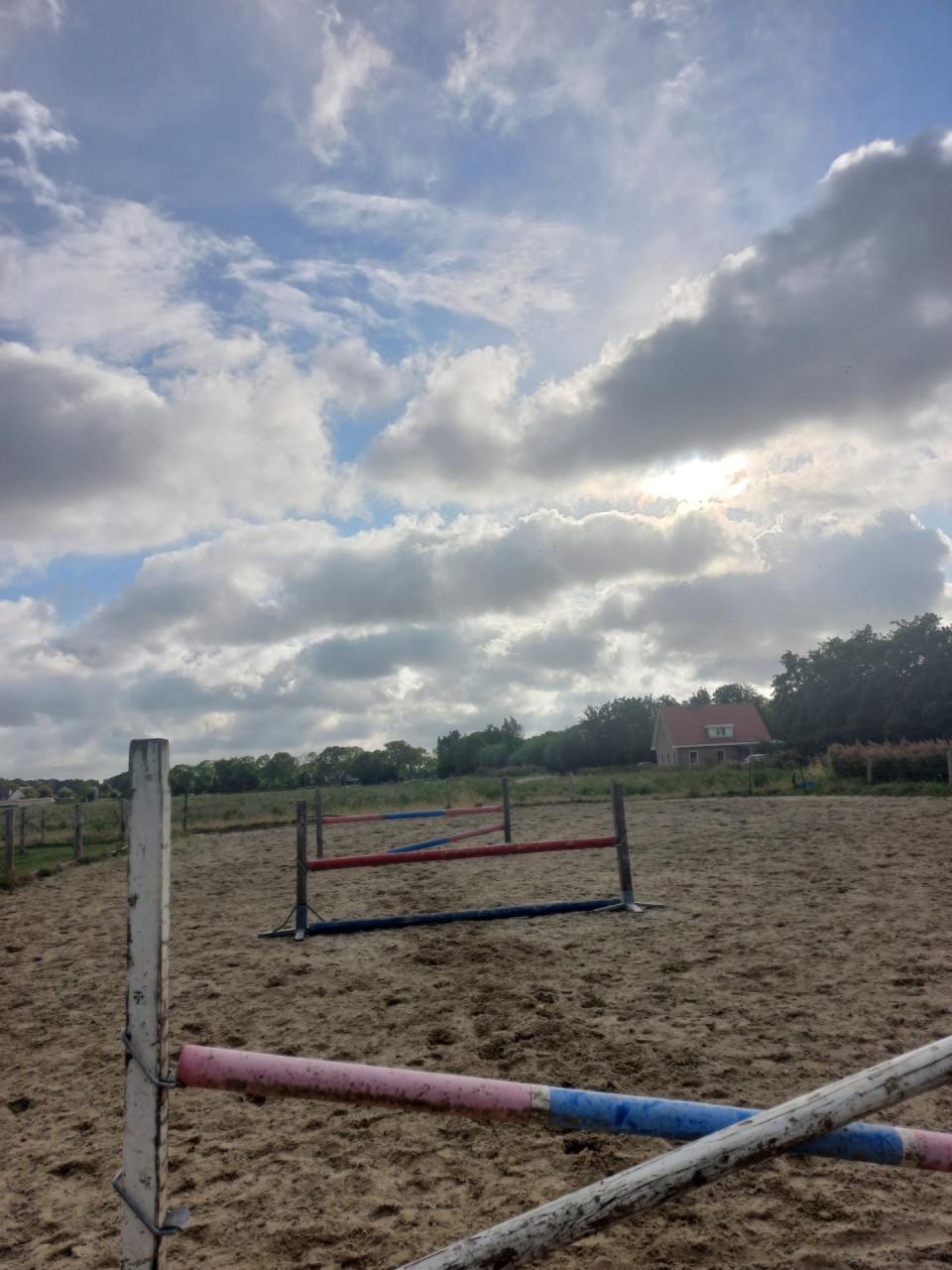 Hindernis staanders en balken set paarden