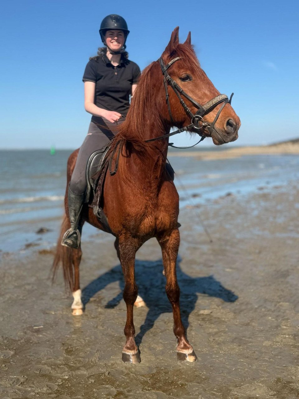 Lieve ruin
