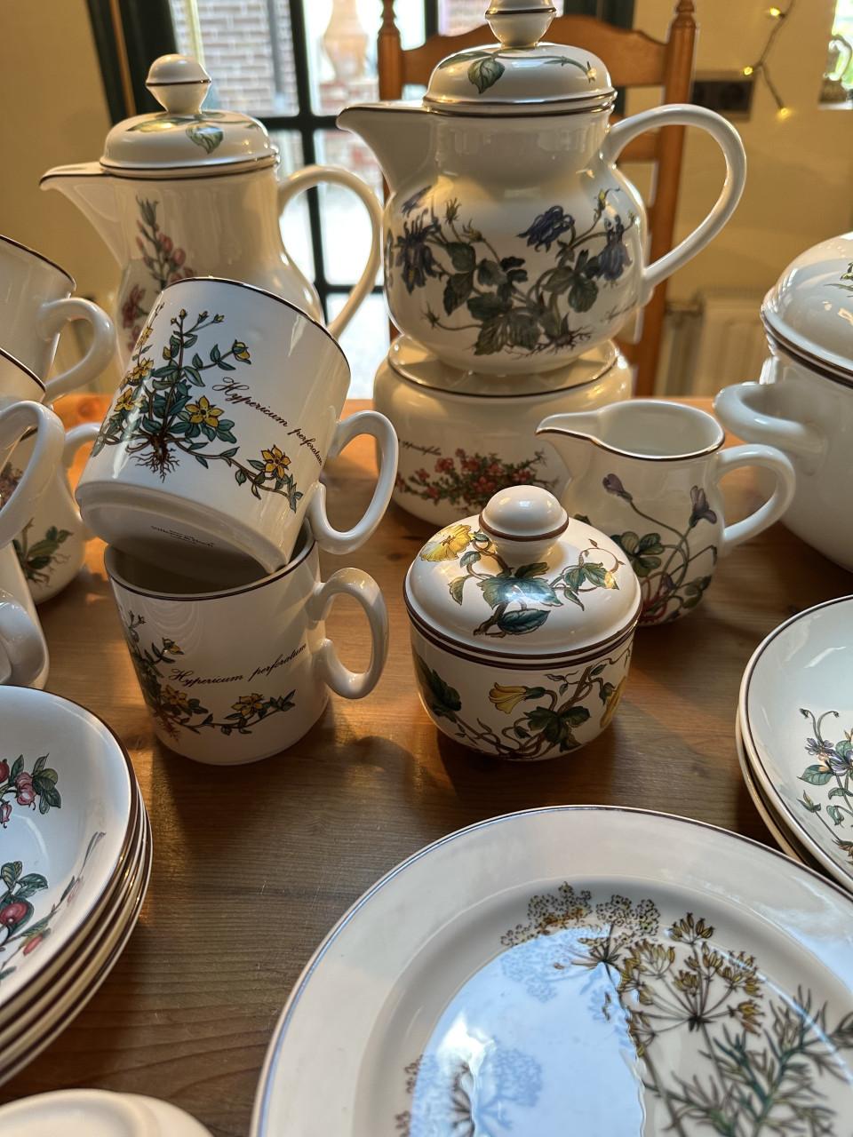 Botanica Servies