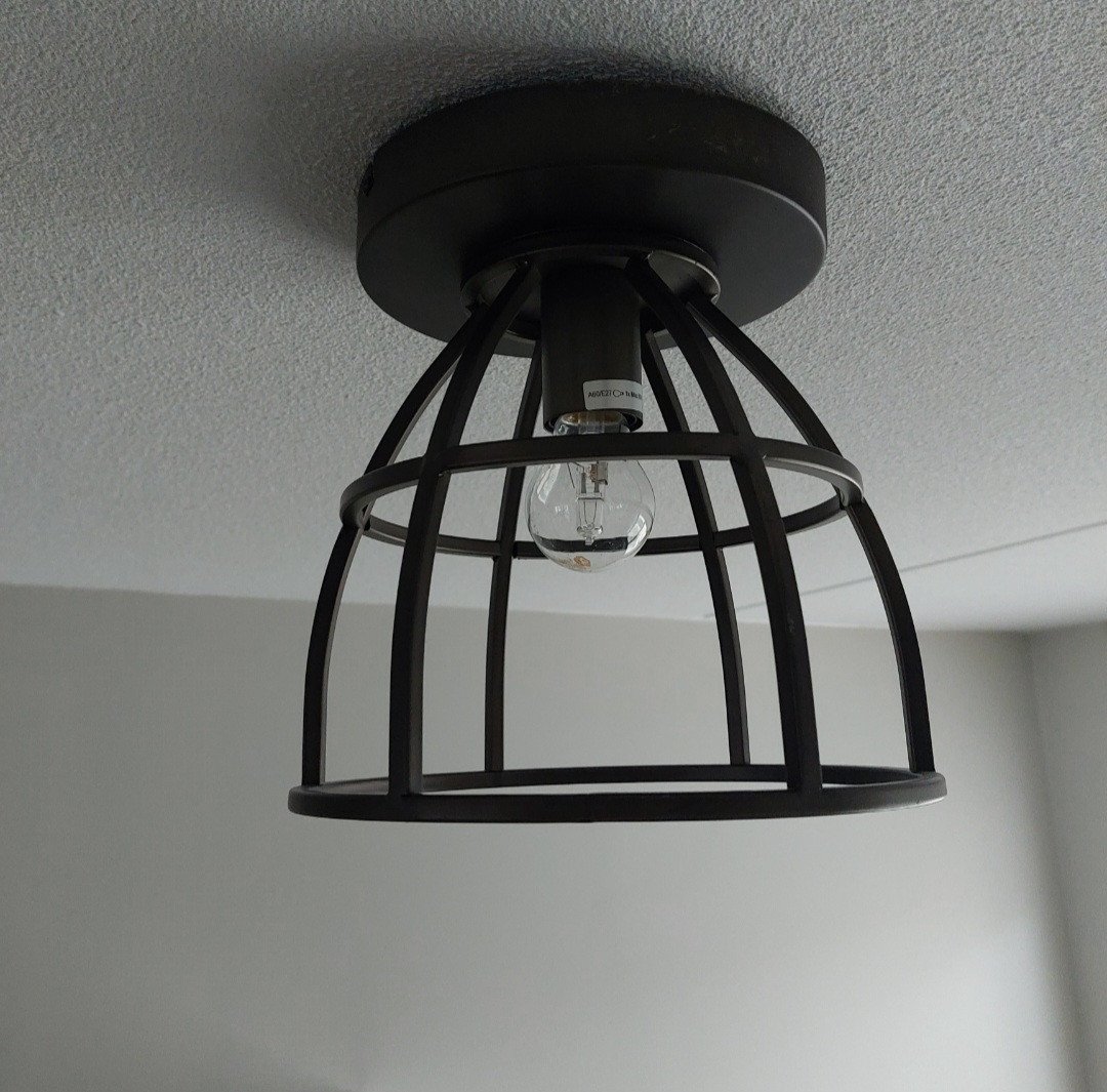 Stoere industriële plafondlamp 2x