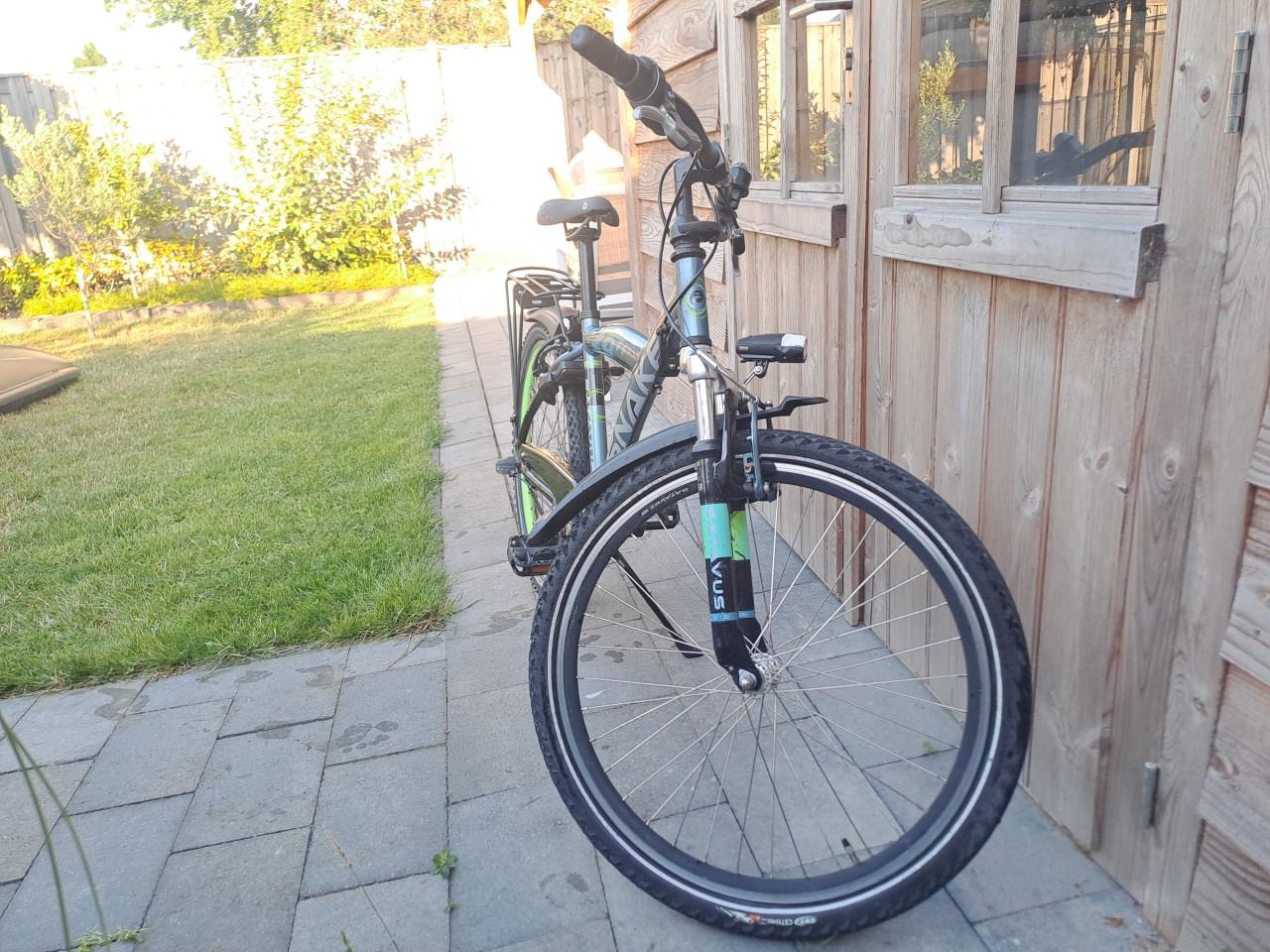 Batavus snake 24"