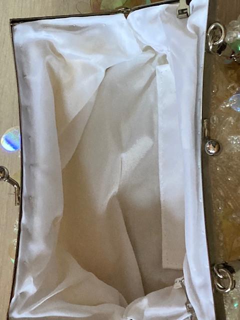 Bijzonder Soiree-tasje