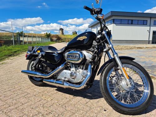 Harley Davidson Sportster 883 Low