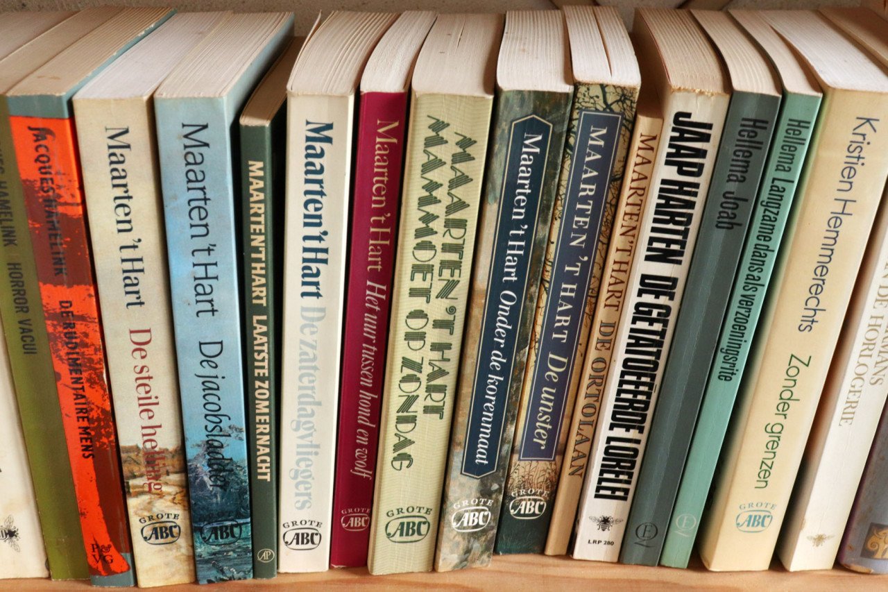 Nederlandse top literatuur