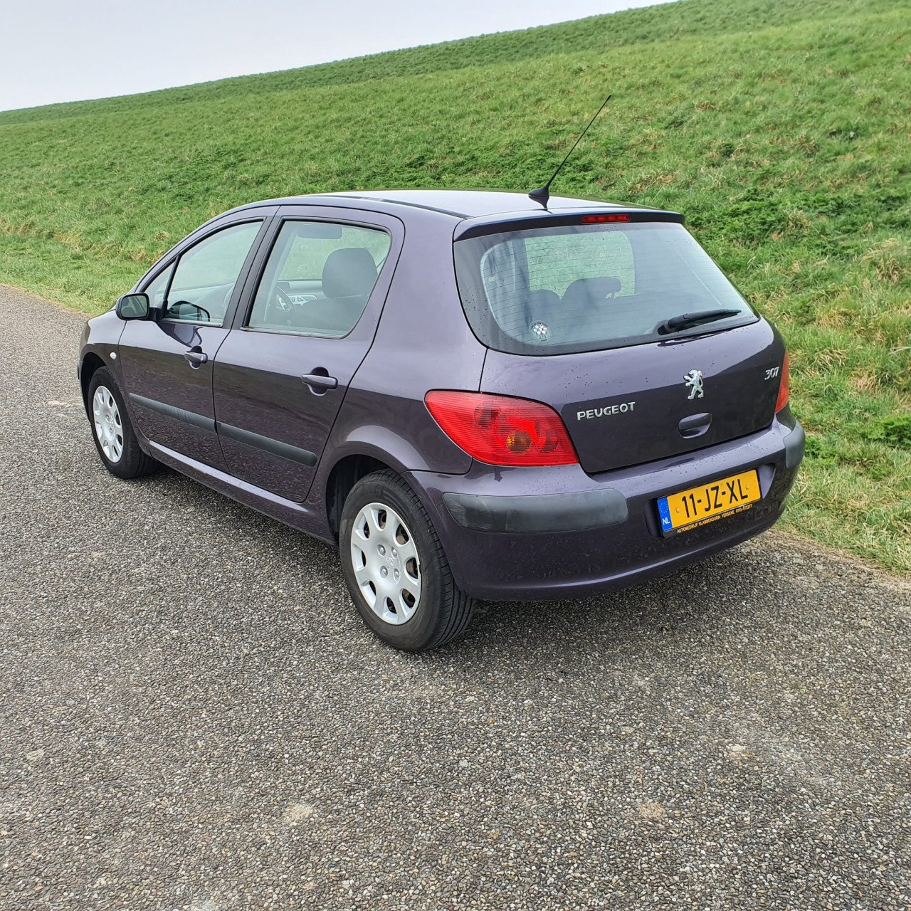 Peugeot 307 1.6-16V XS 5 deurs