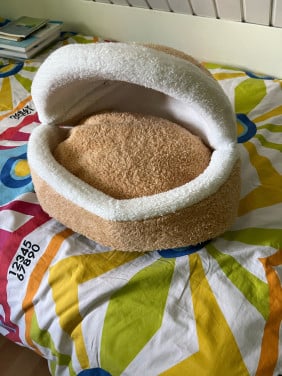 Puppy mand of kattenmand