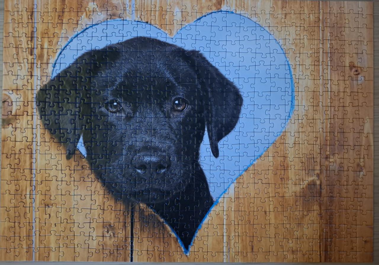 Puppy puzzels