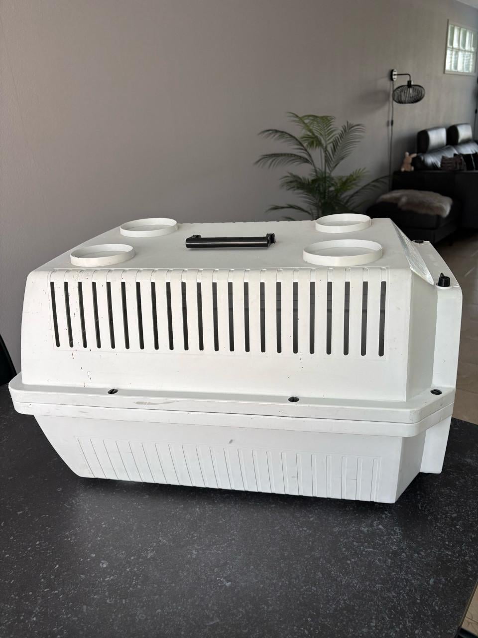 Honden / poezen Bench