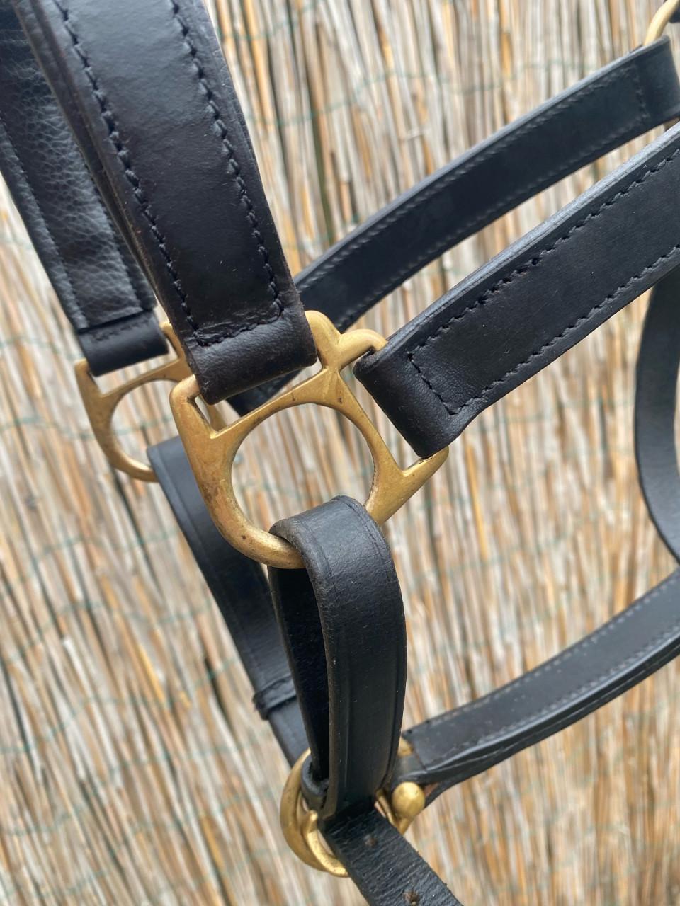 Leren halster maat full