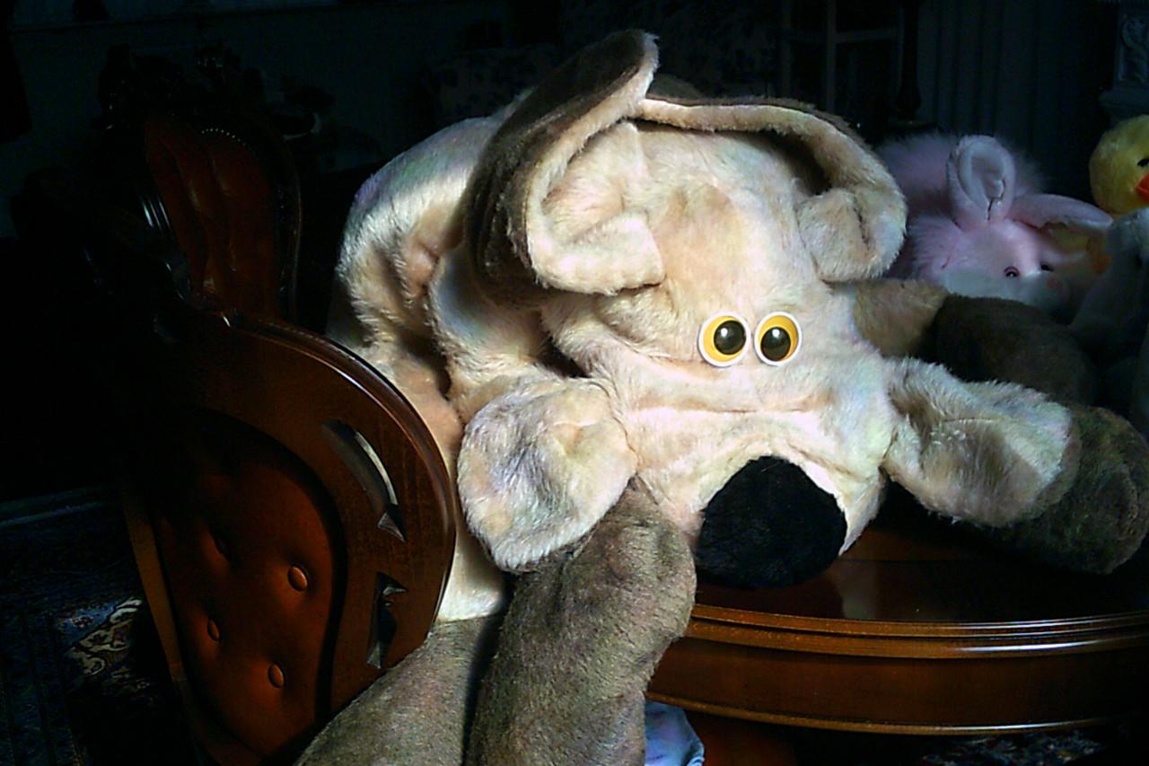 Grote NIEUWE knuffel ...