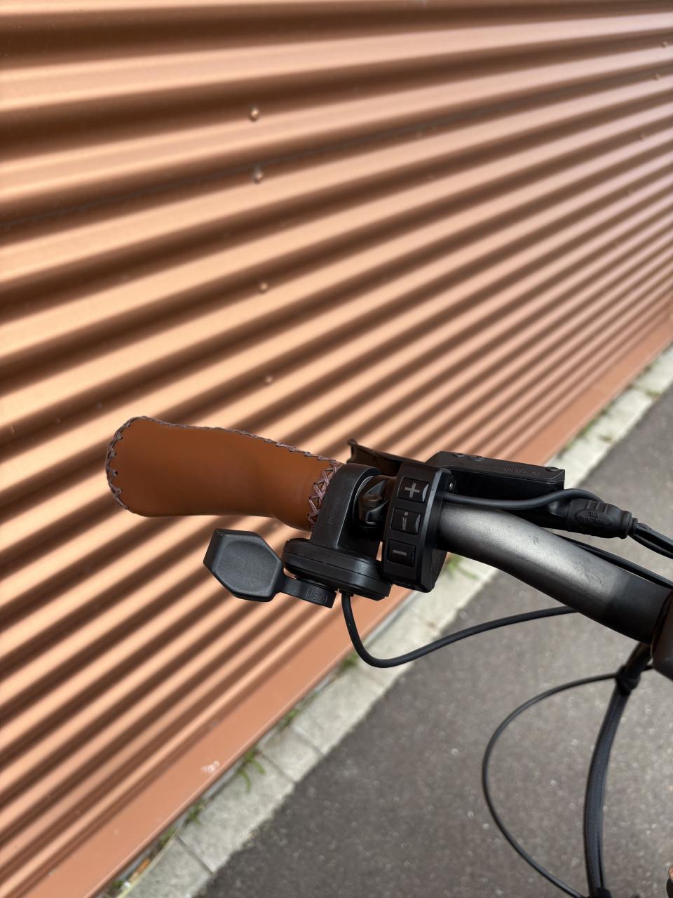 Switzz elektrische vouwfiets/fatbike