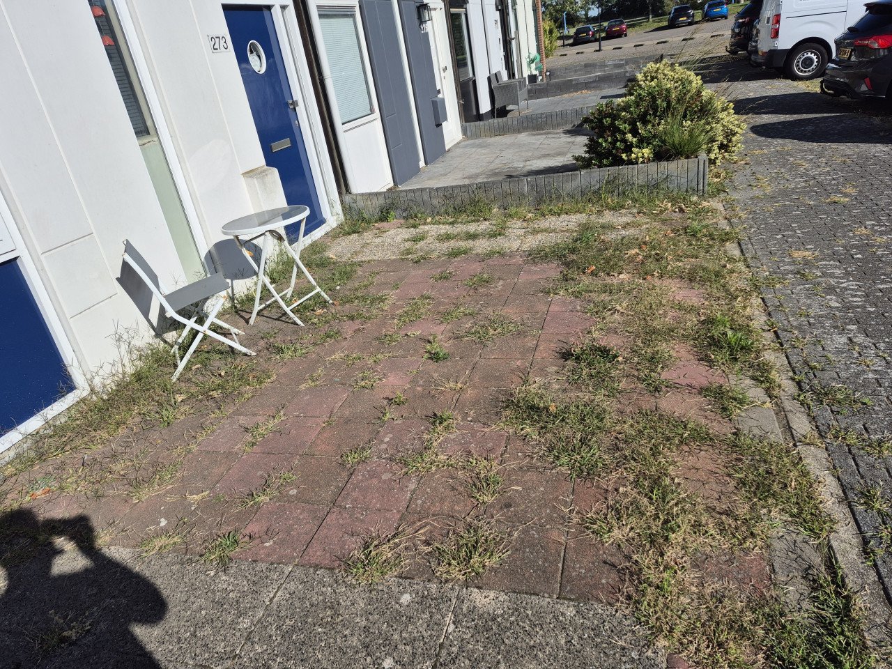 Betaalbare Tuinman nodig? Ik ben Beschikbaar!!