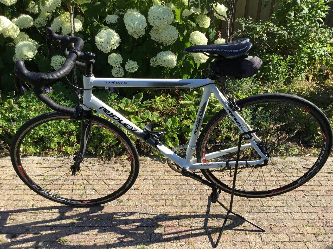 Ridley tritonS