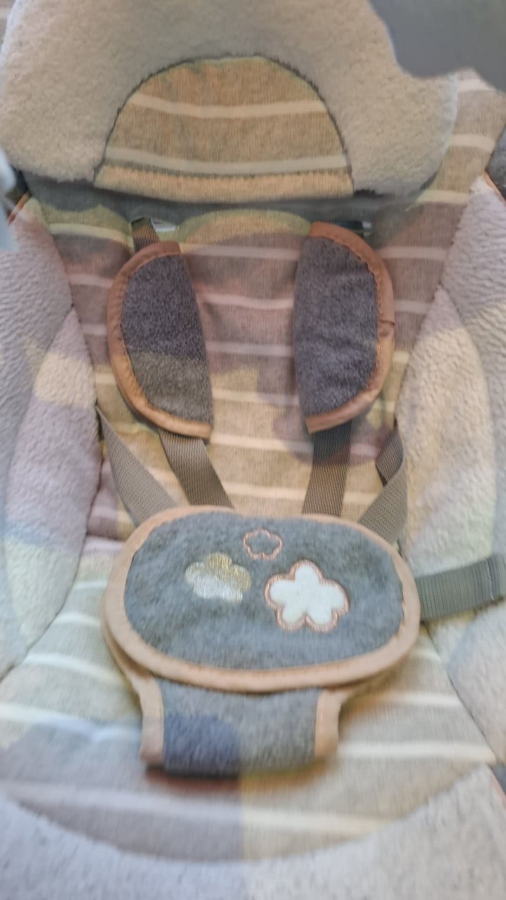 Ingenuity Swing 'n Go Bella Teddy Boutique Babyswing