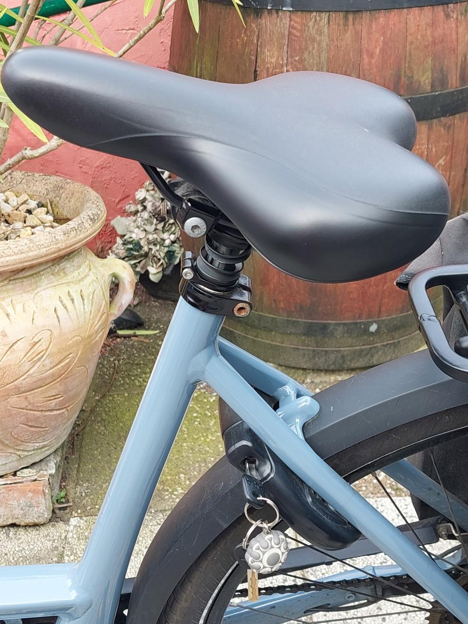 Gazelle Chamonix T-10 E bike