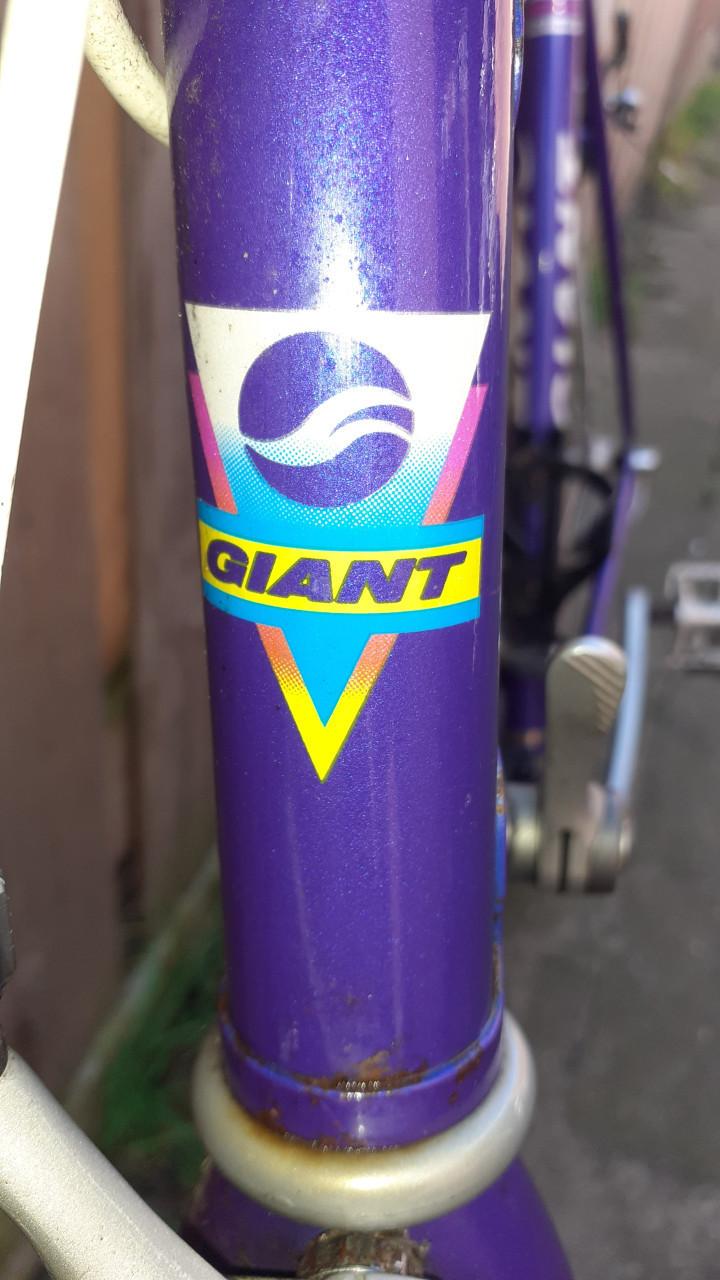 1 x Racefiets Rood merk Raphael GEMINIANI & 1 x Blauw *** Oldtimer ***