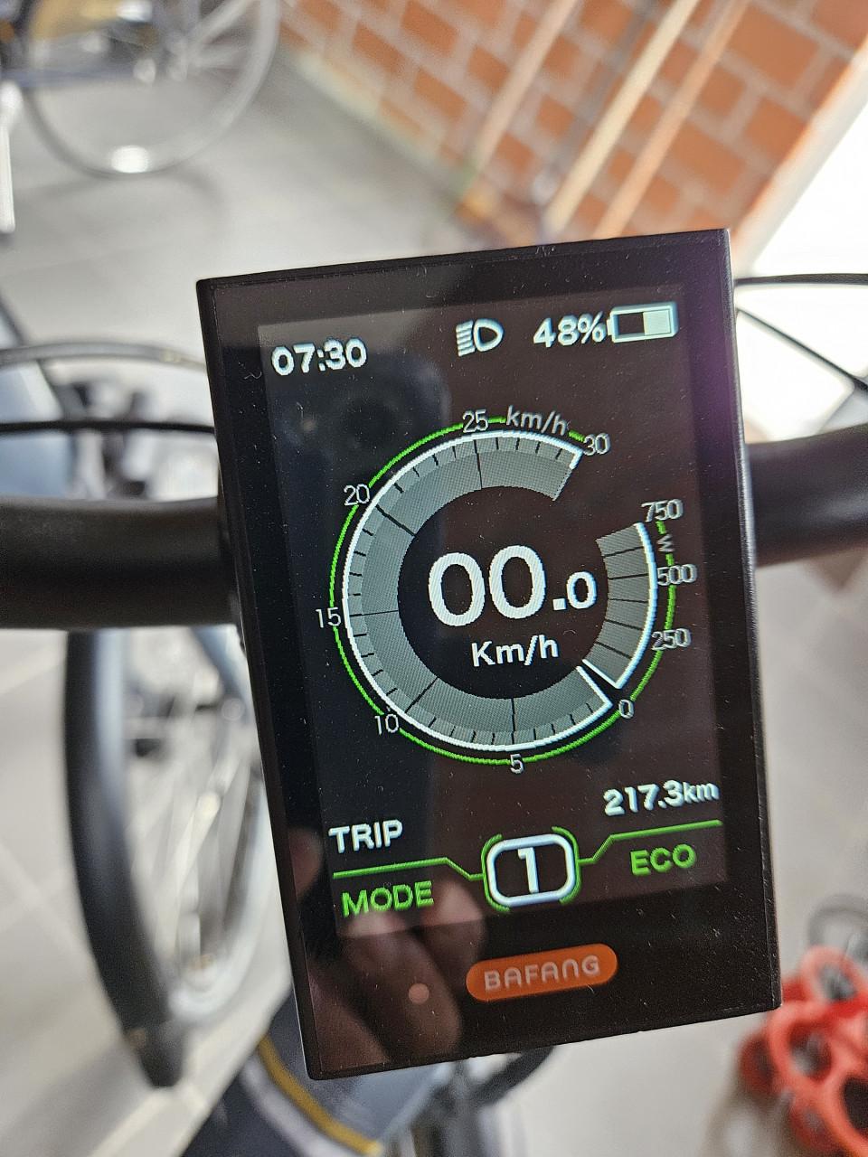 Te koop elektrische Amslod fiets