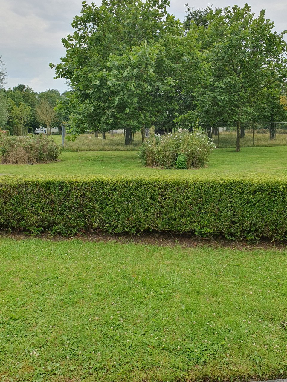 Chalet te koop in Baarland