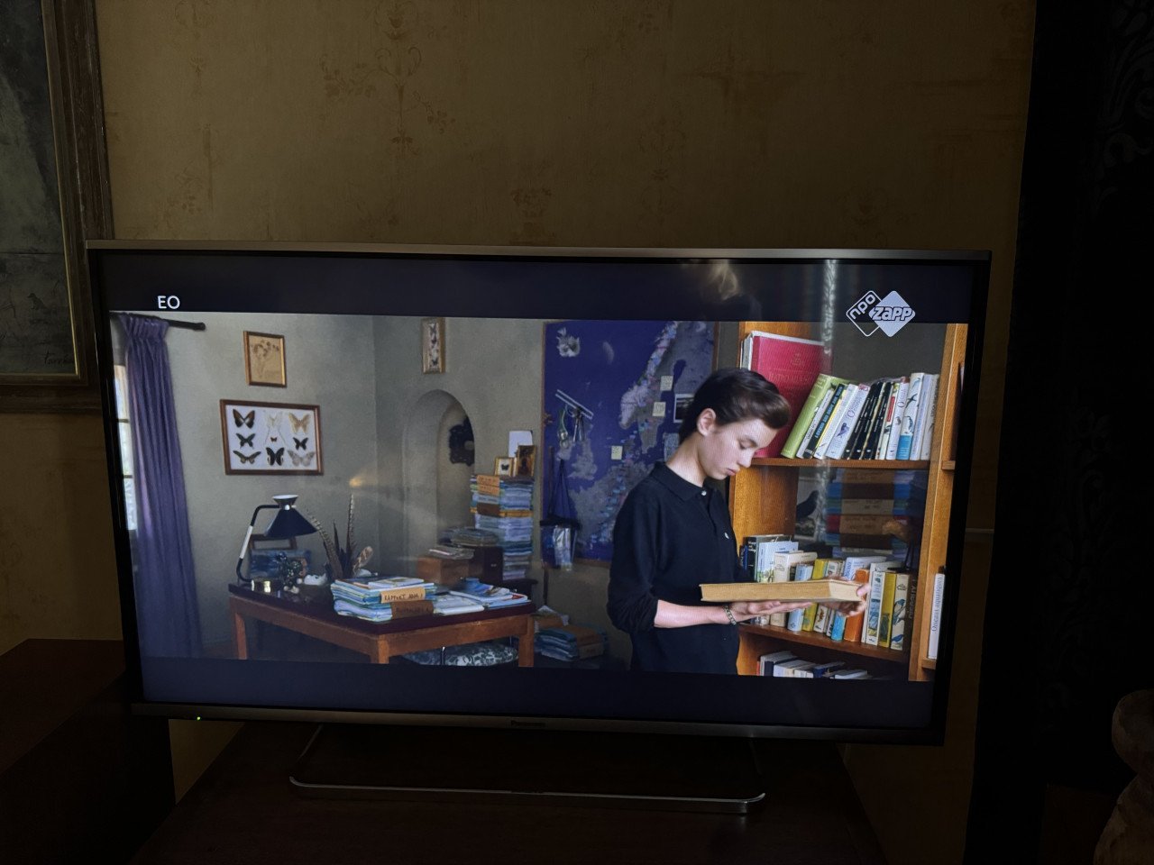 Panasonic tv