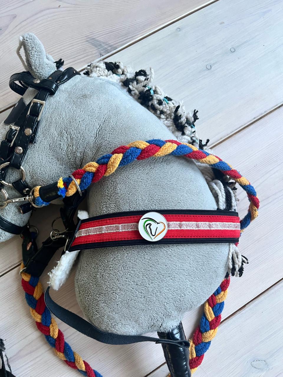 Stokpaard met accessoires in goede staat