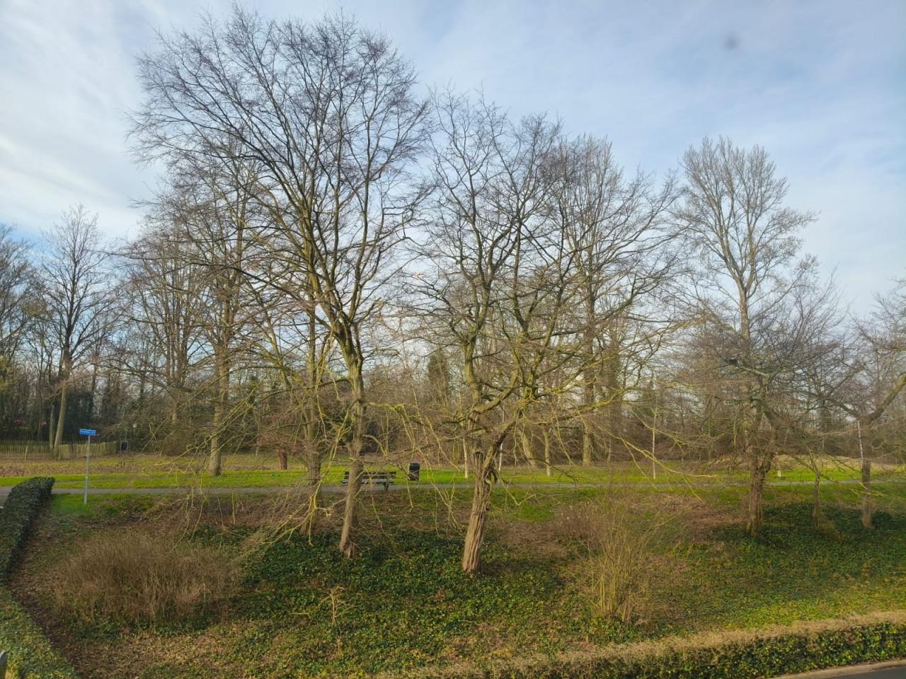 Appartement te huur in centrum Terneuzen