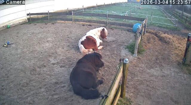 Gezocht, gezellige verzorger/ster.