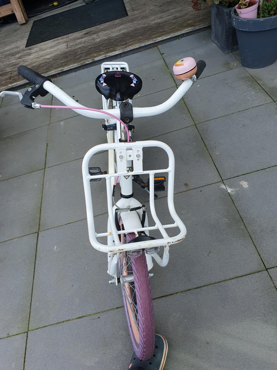 Alpina Clubb meisjesfiets 20 inch