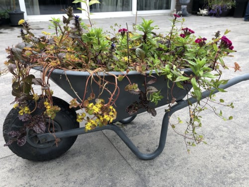 Kruiwagen plantenbak