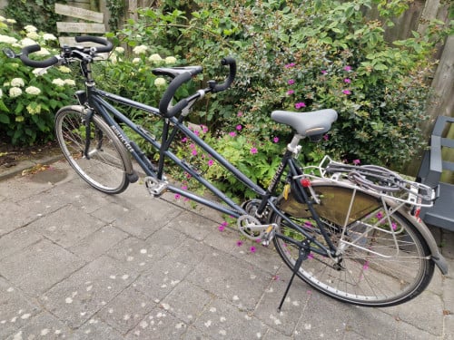 Tandem Multicycle