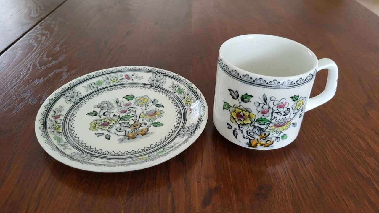 Wood & Sons Burslem Dorset kop en schotel