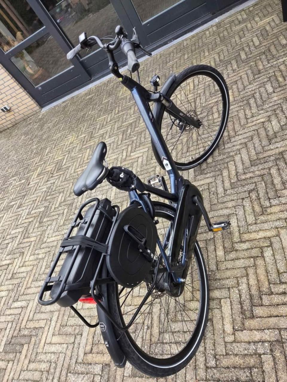 Elektrische Giant Entour 1+ Damesfiets