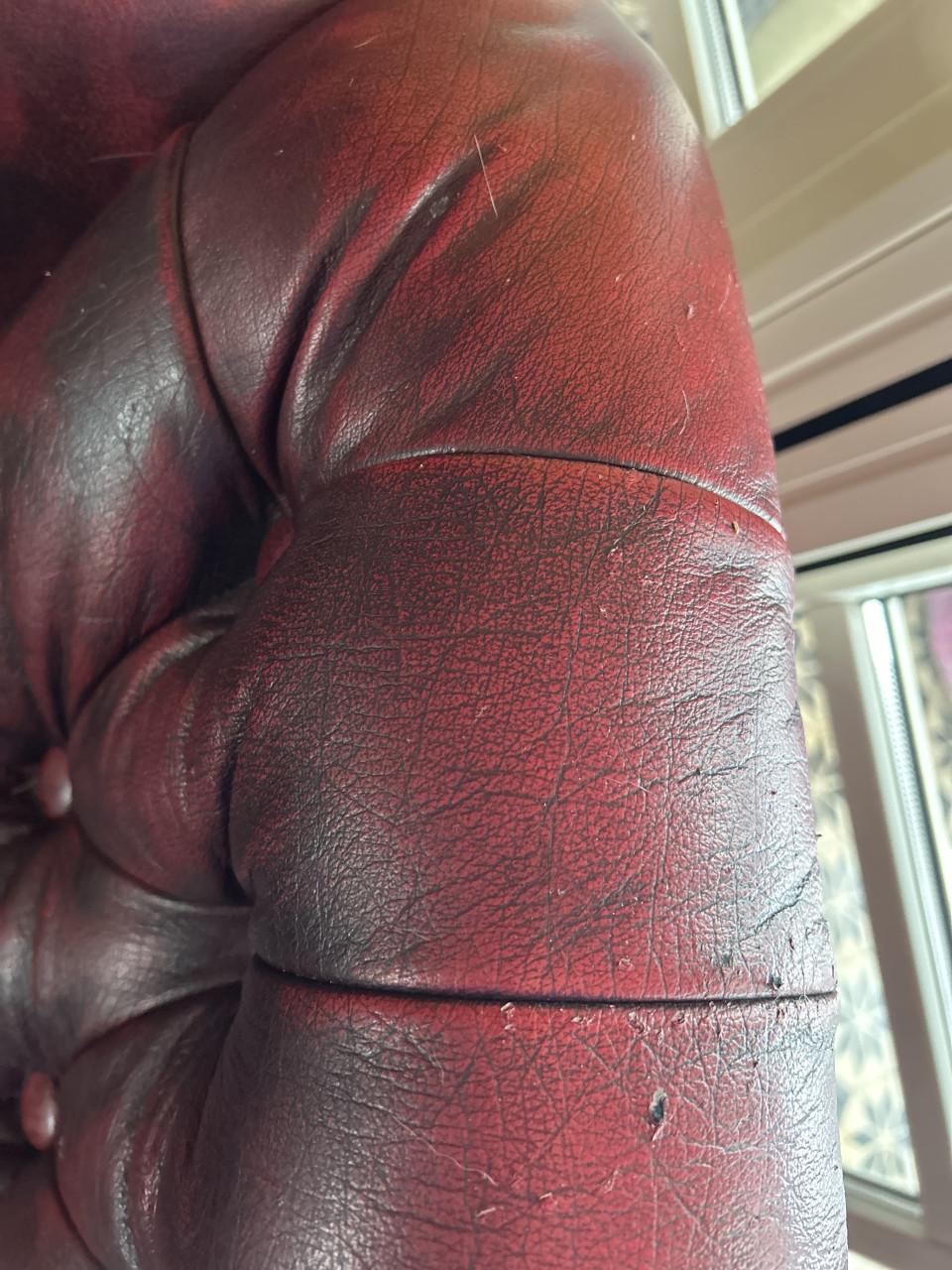 Prachtige Chesterfield Oor Fauteuils