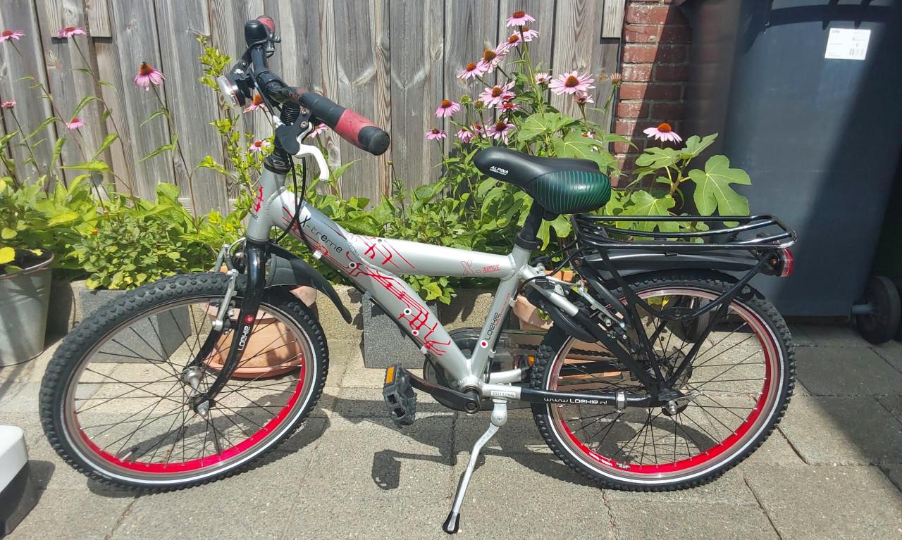 16 inch fiets van het merk Loekie