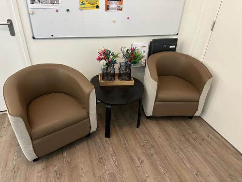 Homint Fauteuils 2 stuks
