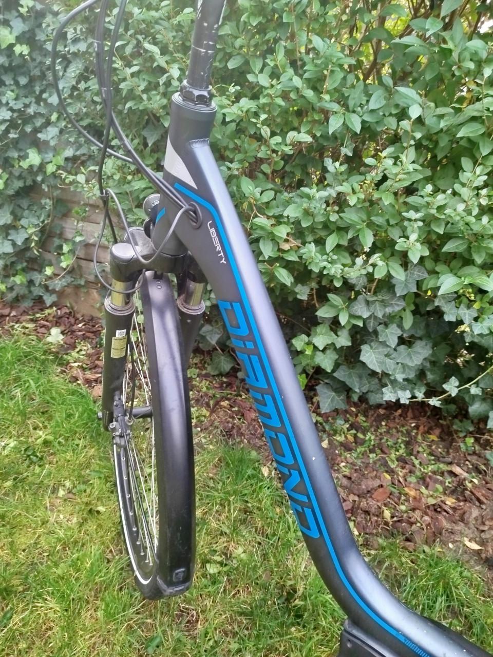 Diamond Liberty e-bike