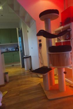 Natural Paradise Krabpaal Magnolia XL Plus ZOOPLUS Npr 175 E