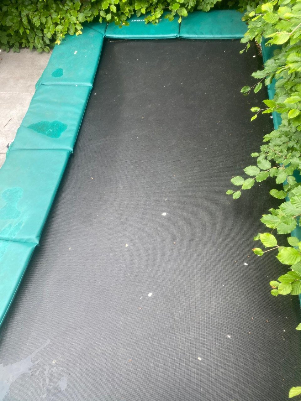 Trampoline