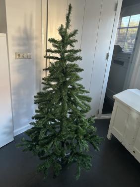 Kerstboom Triumph 1.55 m hoog