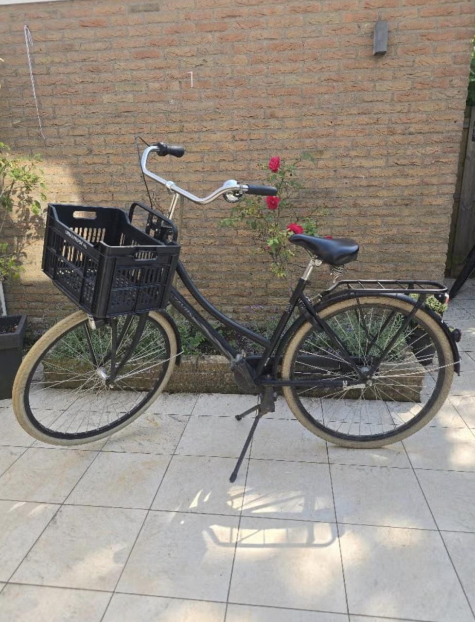 Batavus transport
