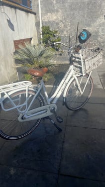 Gazelle Miss Grace damesfiets
