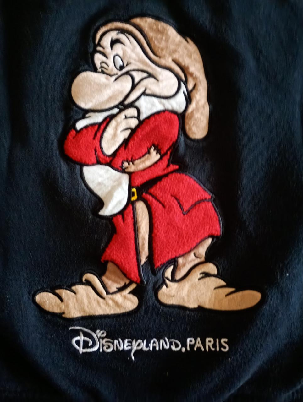 Vest met capuchon Grumpy Disneyland parijs